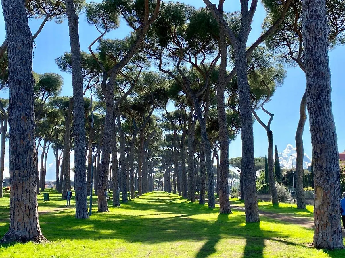 Elegant Vatican Metro & Golf Rome